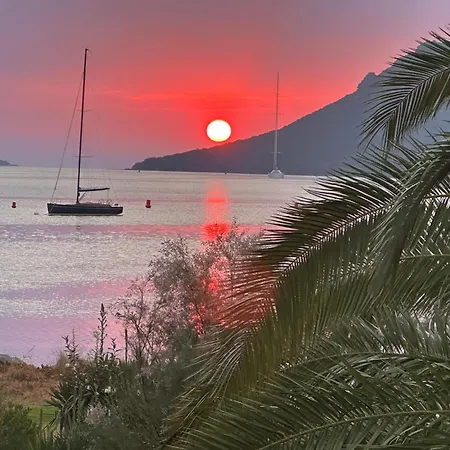 Les Oliviers 6 - Pieds Dans L'eau * Porto-Vecchio (Corsica)