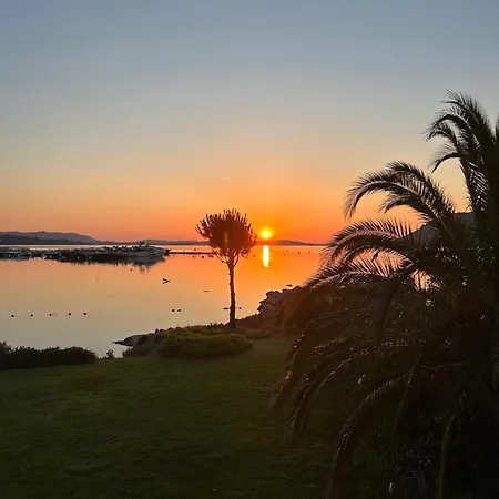 Apartment Les Oliviers 6 - Pieds Dans L'eau Porto-Vecchio (Corsica)