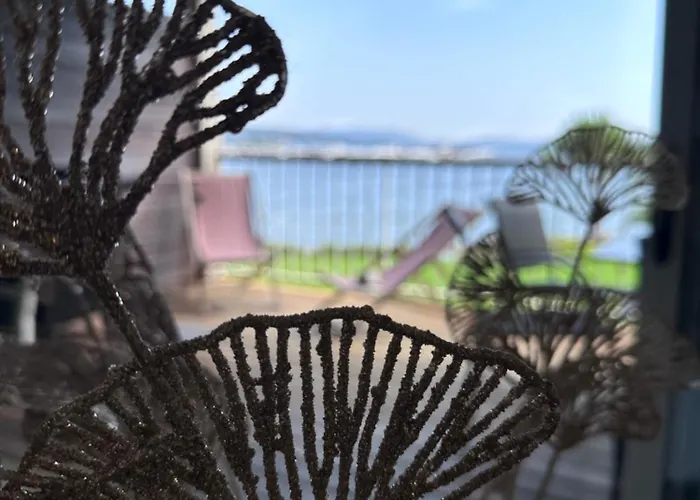 Appartement Les Oliviers 6 - Pieds Dans L'eau *