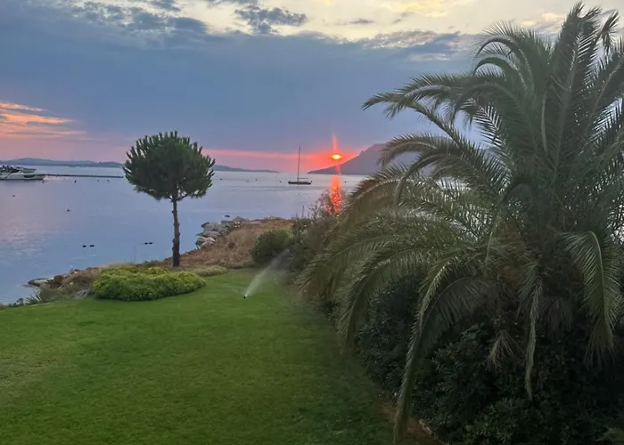 Les Oliviers 6 - Pieds Dans L'eau Porto-Vecchio (Corsica)