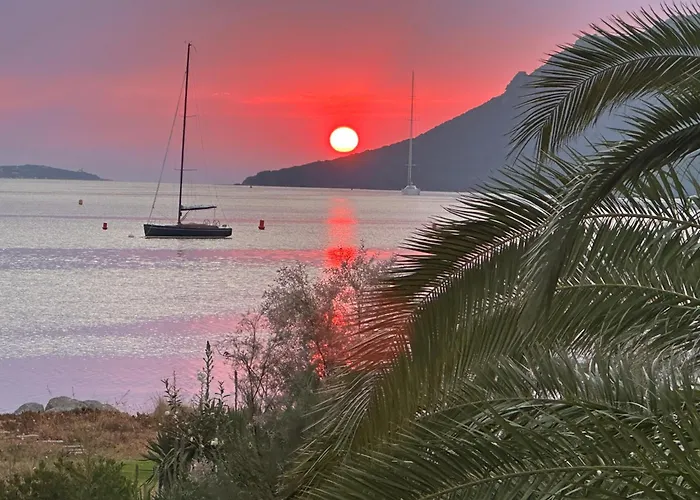 Les Oliviers 6 - Pieds Dans L'eau * Porto-Vecchio (Corsica)